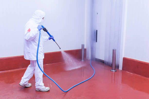 Best Residential House Exterior Washing  in USA